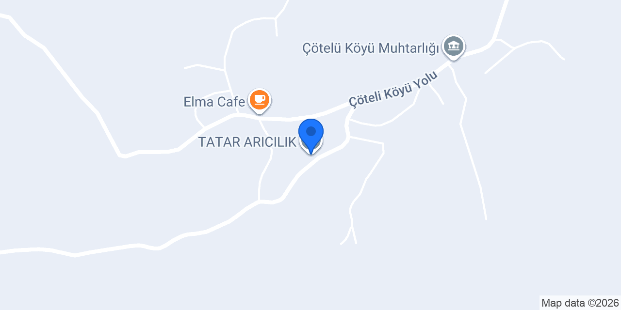 TATAR ARICILIK konumu