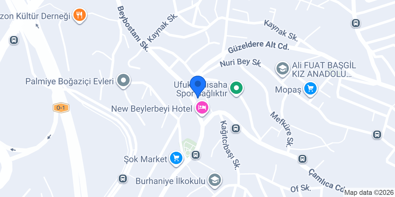 Erge Proje konumu
