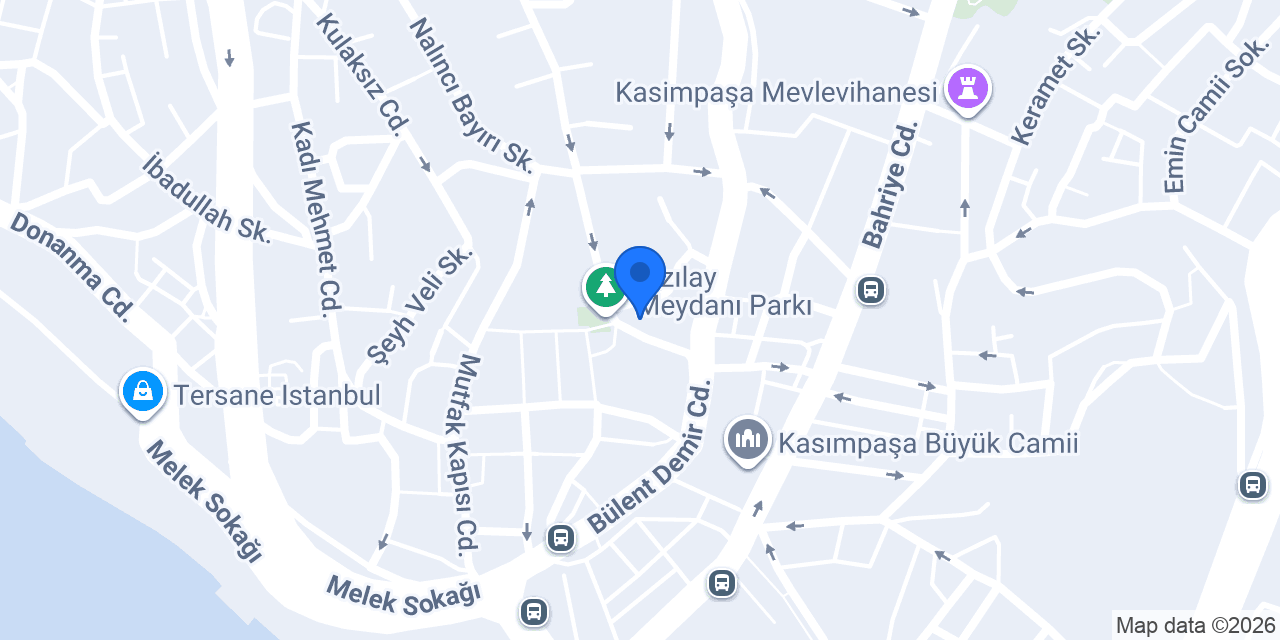 Profesyonel Emlak & Danışmanlık konumu
