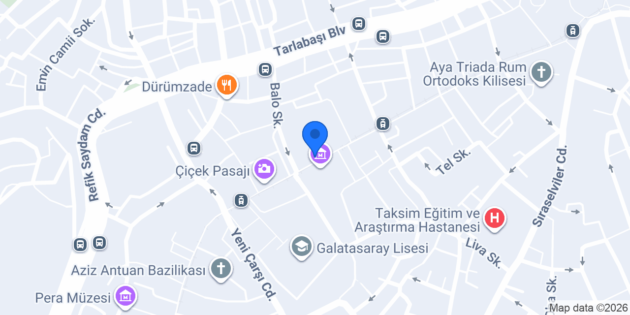 Yarım Elma Dövme Piercing konumu