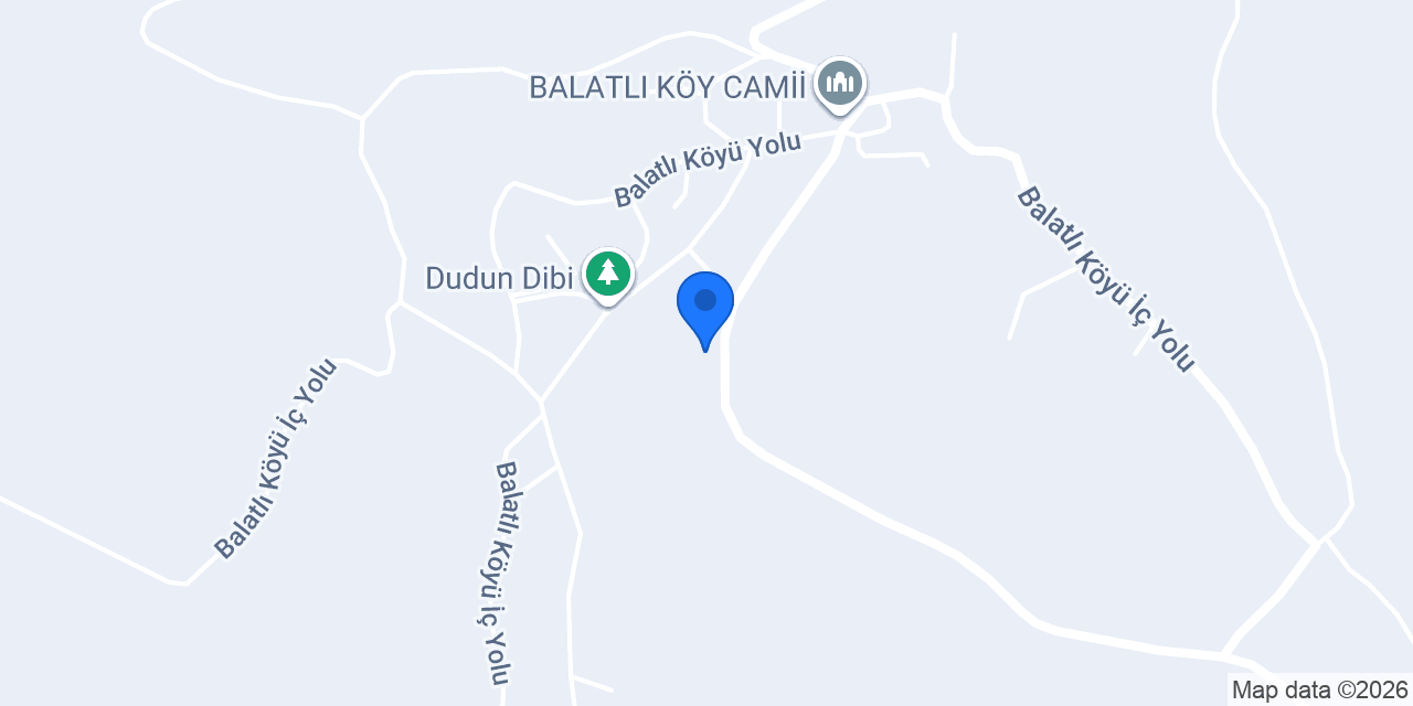 Bilgin konumu