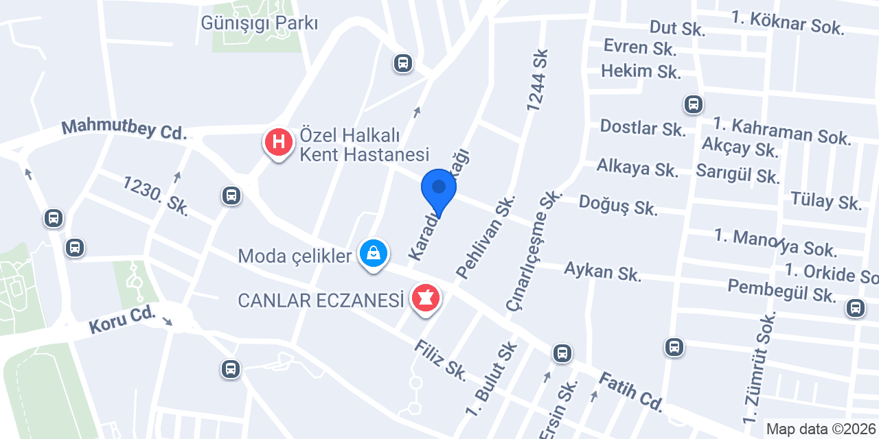 Dusunenokul konumu
