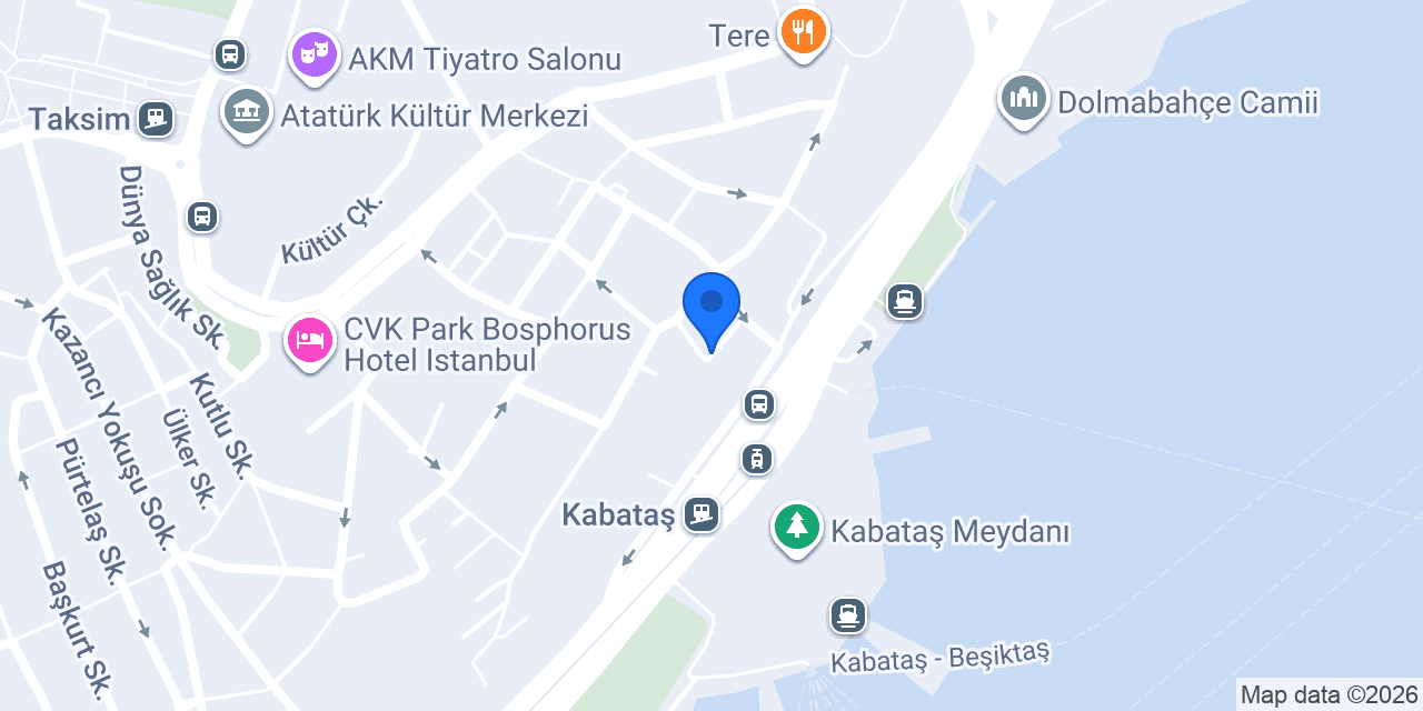 Vize alımı konumu