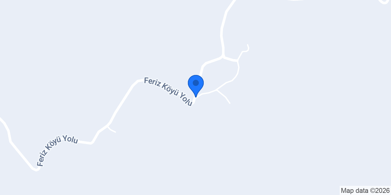 Feriz Köyü Muhtarlığı konumu