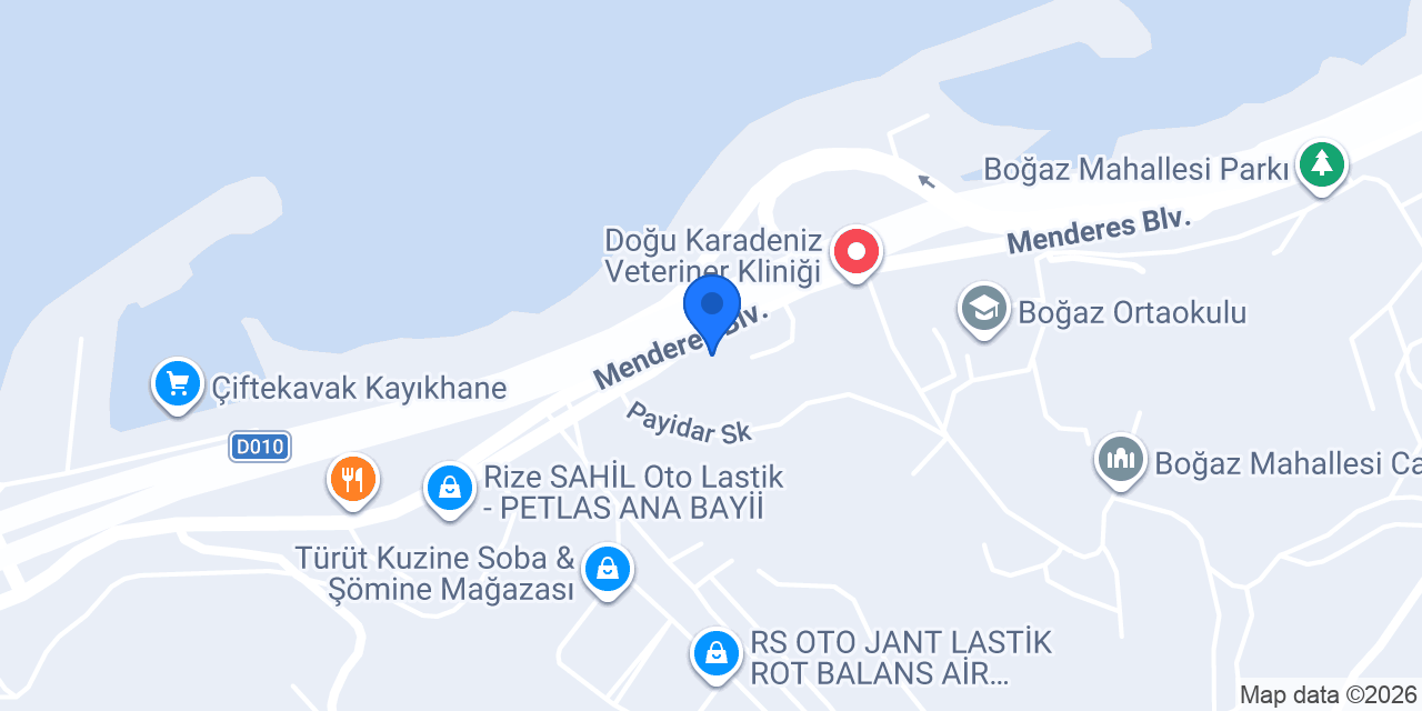 Rident Diş konumu
