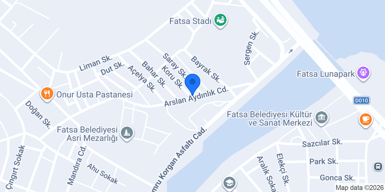 Aydın Halı Yıkama konumu