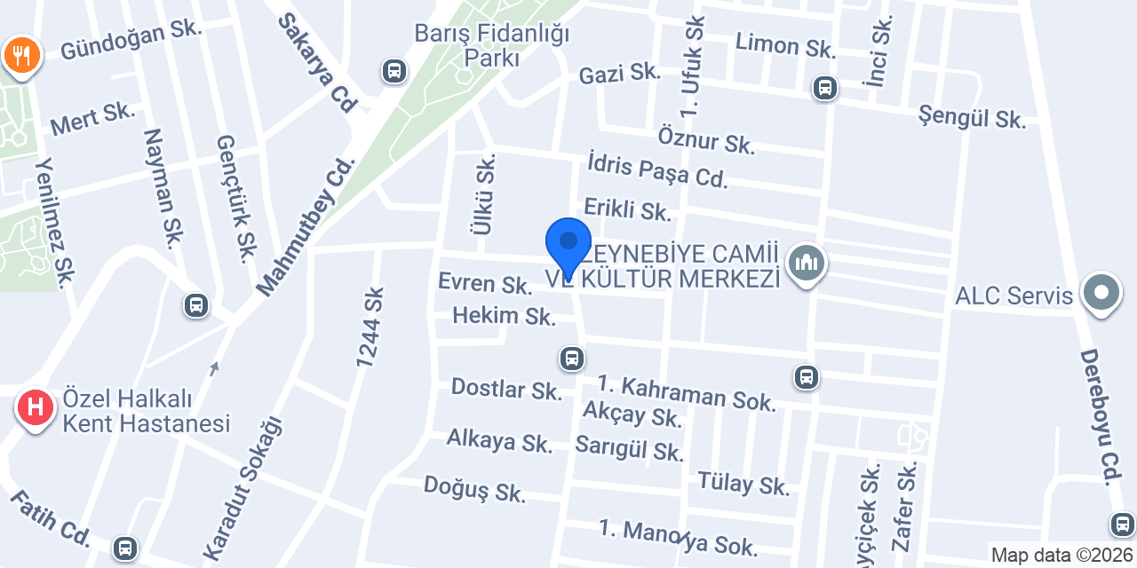 Zeynebiye Çiçekevi konumu