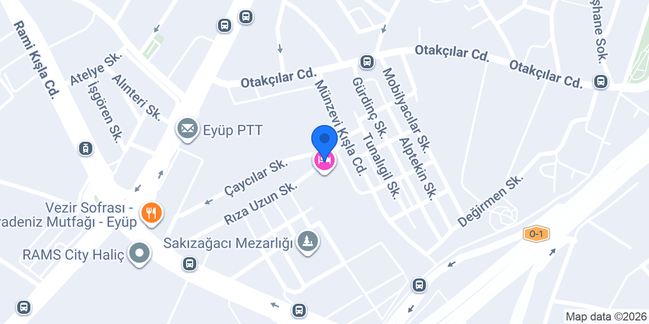 MapEx Uluslararası Kargo konumu