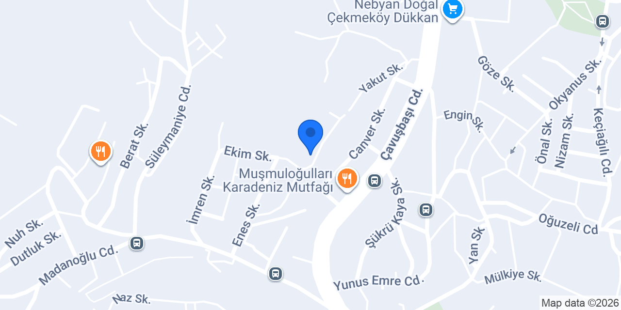 EMS konumu