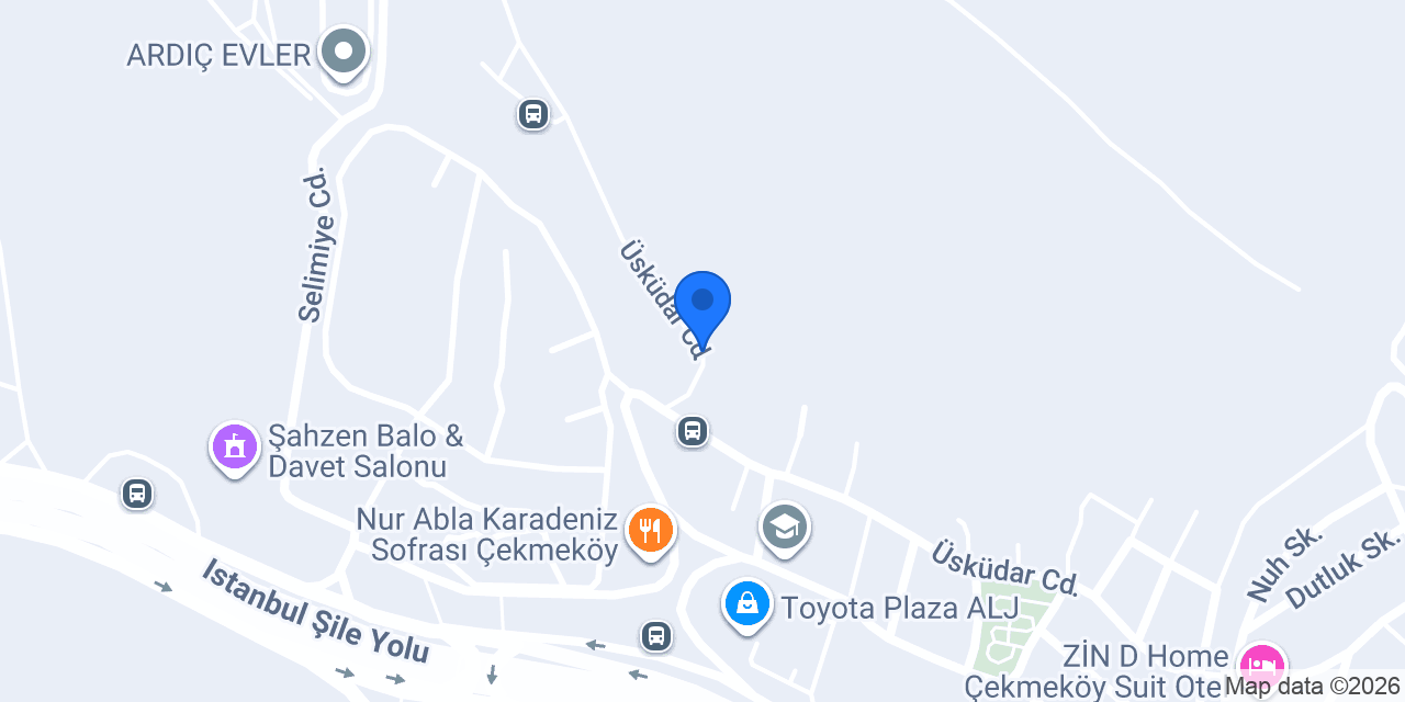 DZN GRUP İÇ VE DIŞ TİCARET konumu