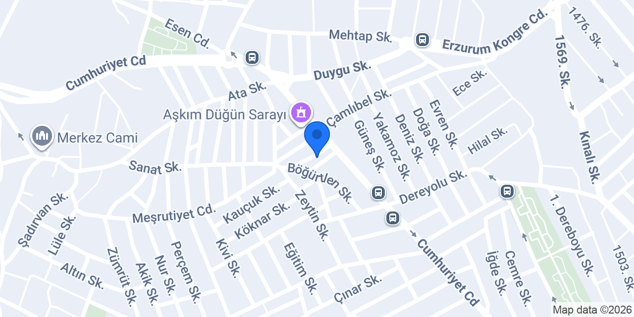 Salon Doğan konumu