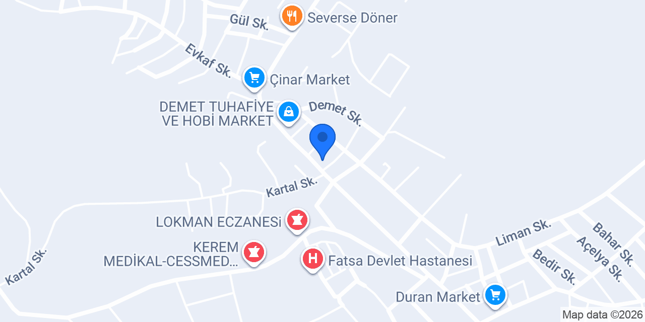 Fatsa elektrik konumu
