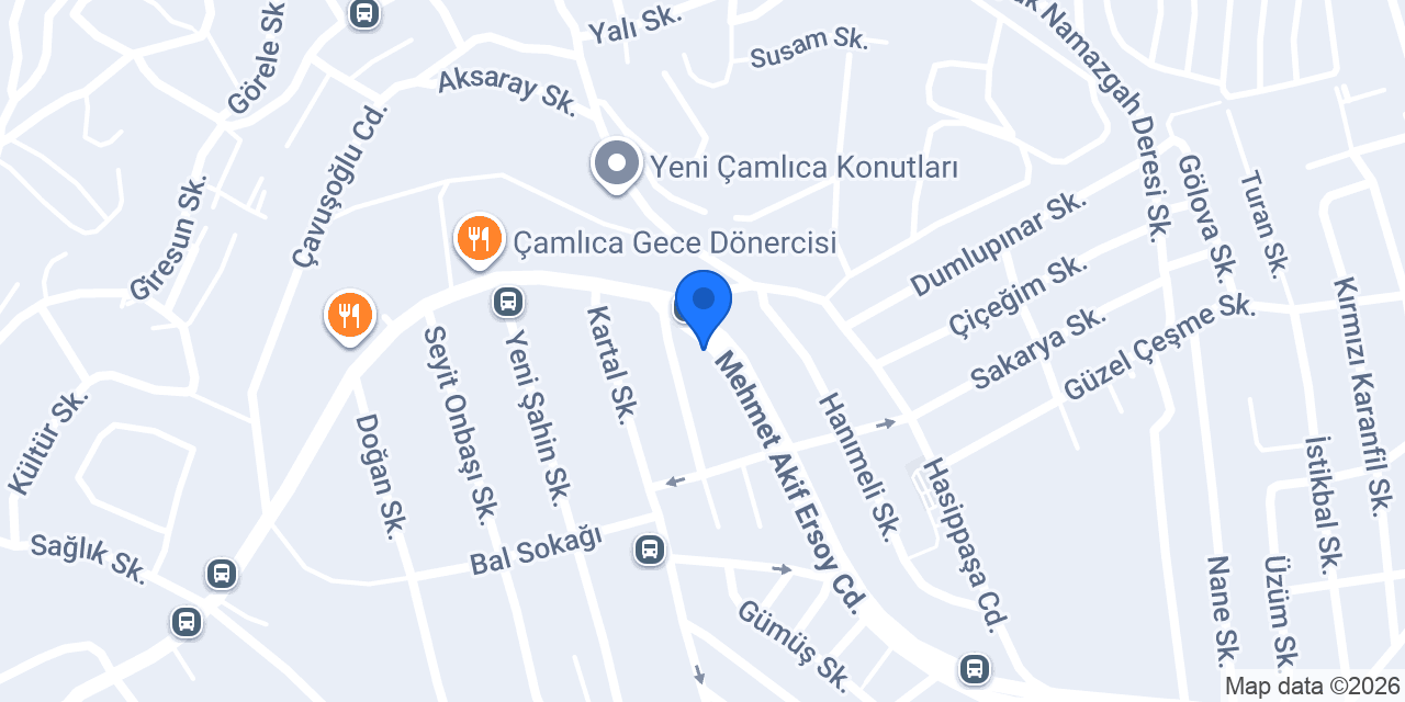 Terzi Miran Dikim Evi konumu