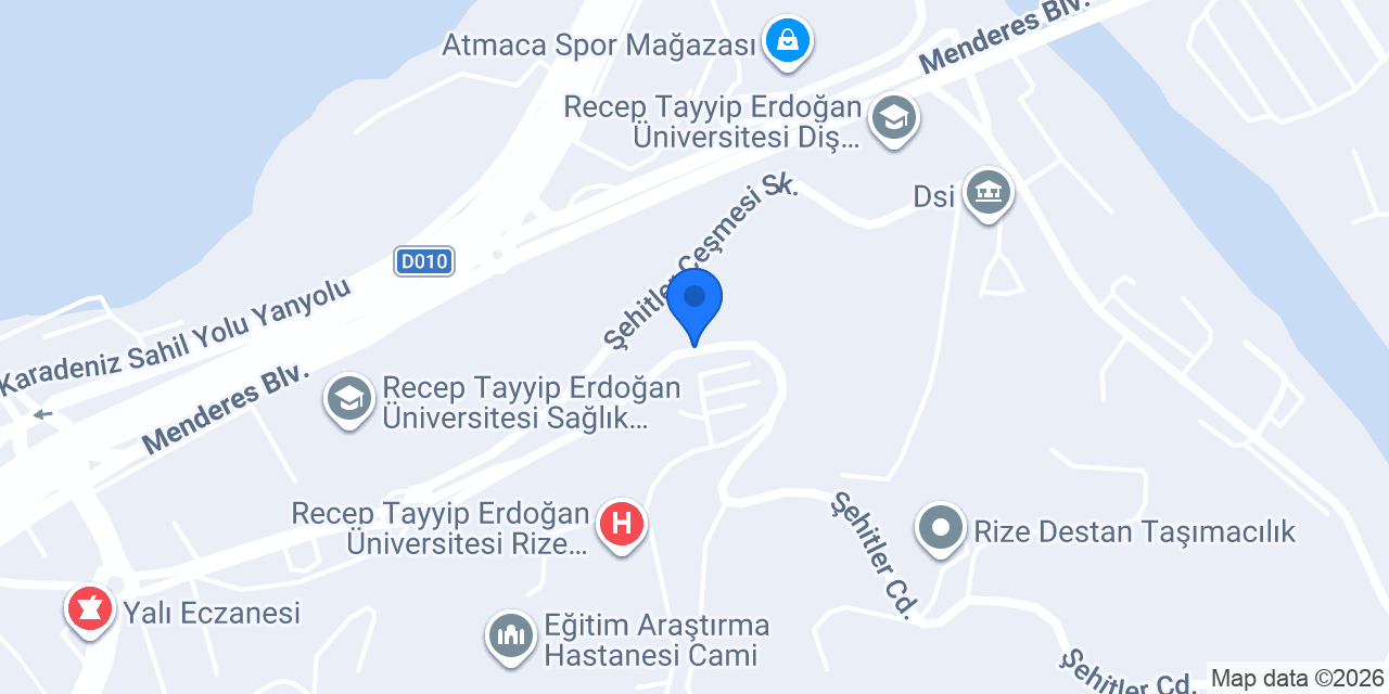 BOSS HOTEL RİZE konumu
