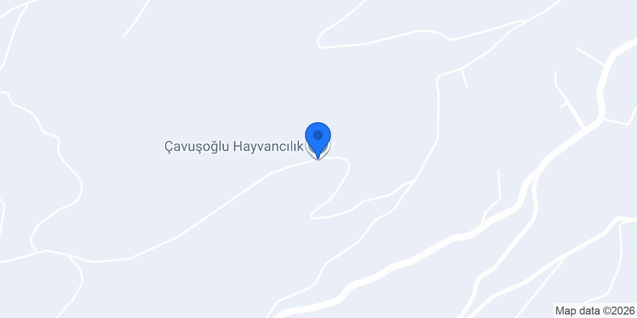 Çavuşoğlu Hayvancılık konumu