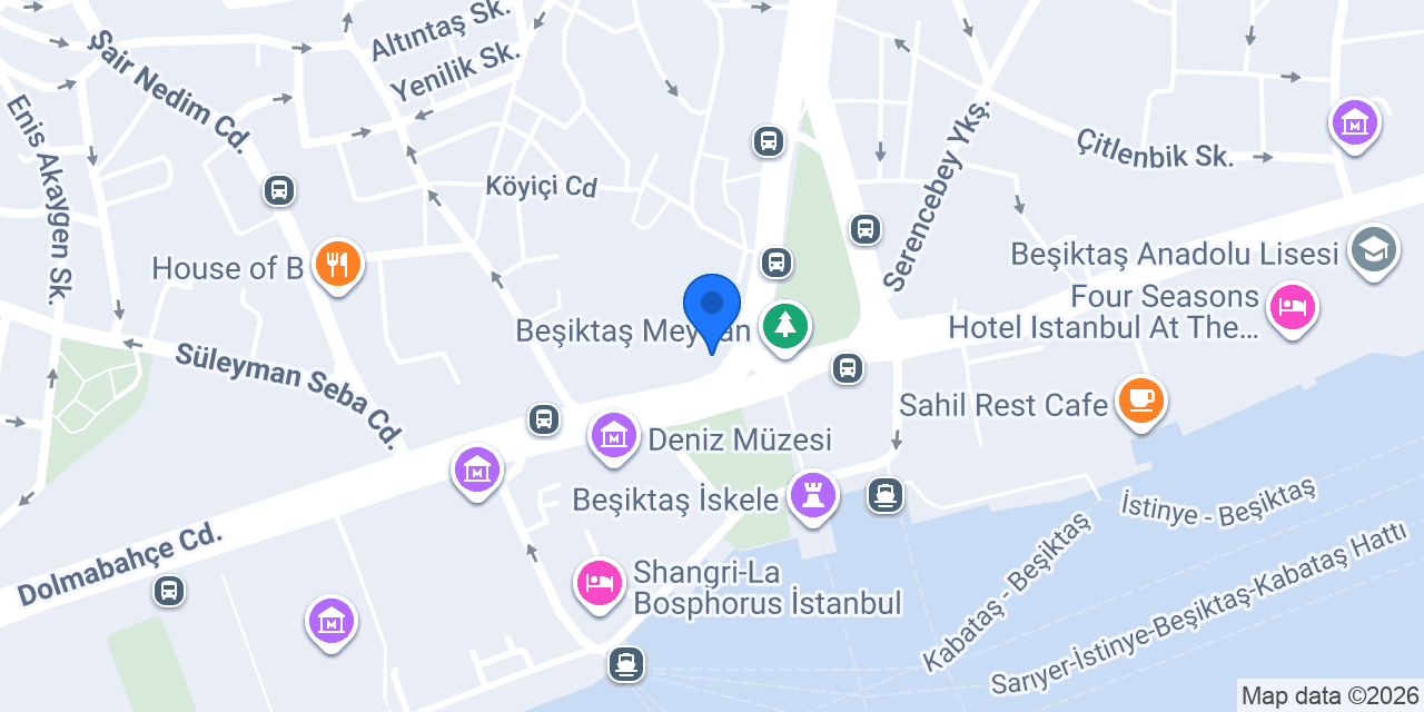 bukrek konumu