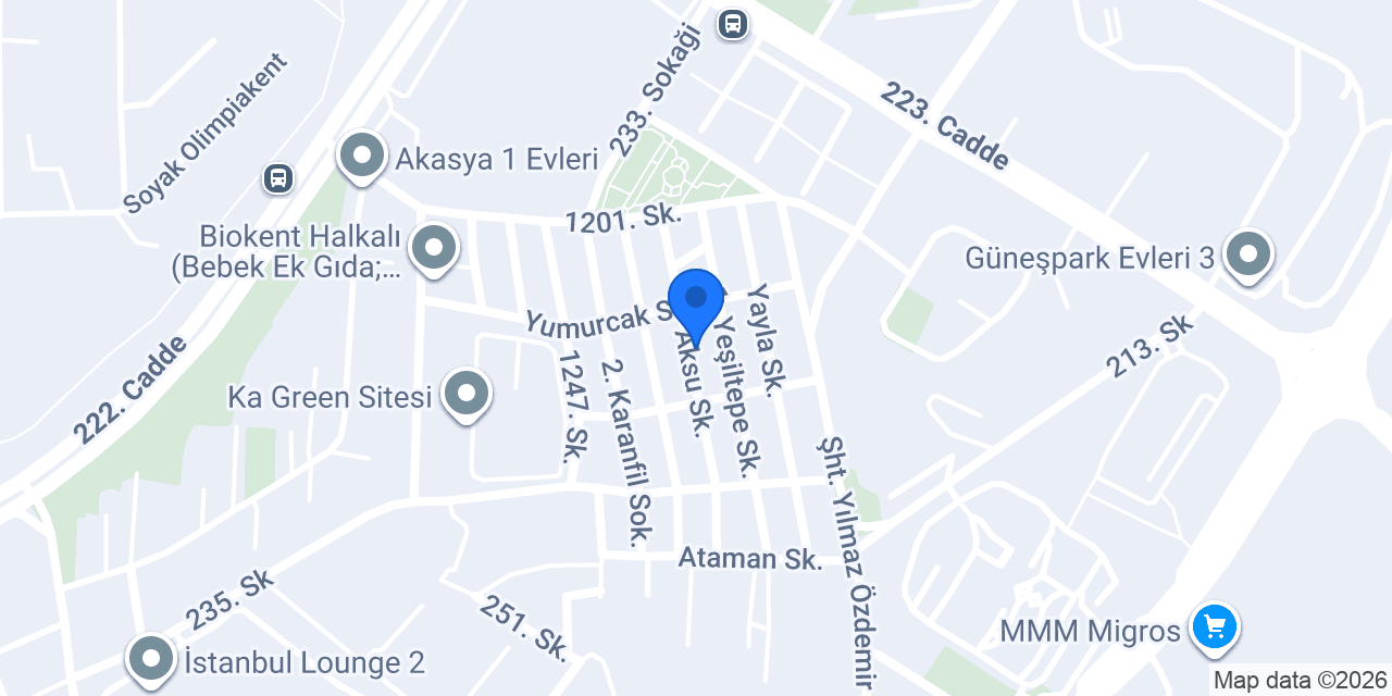 Elektrikçi aslan usta hızlı servis konumu