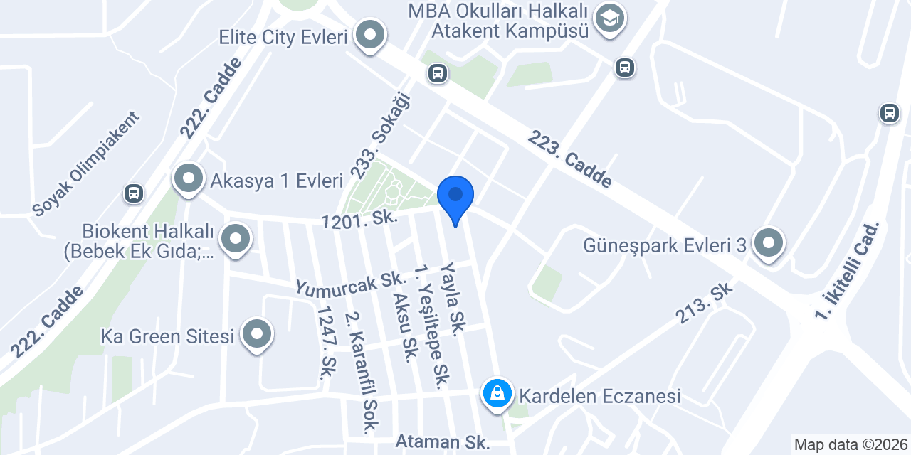 Megui Arslan konumu