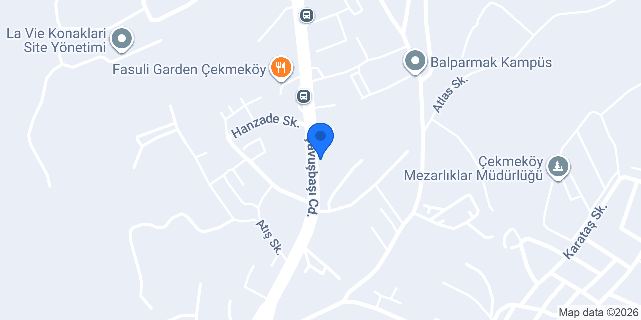 ANİMALLİA K9 AKADEMİ konumu