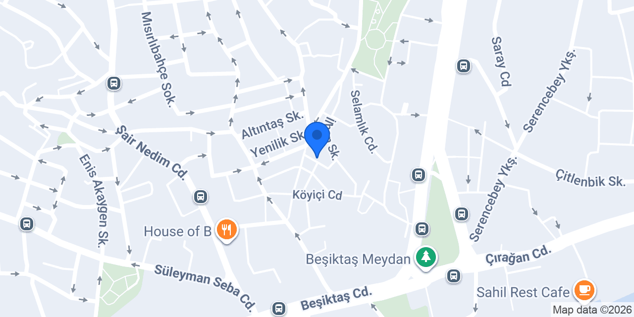 Beşiktaş Olta Balık konumu