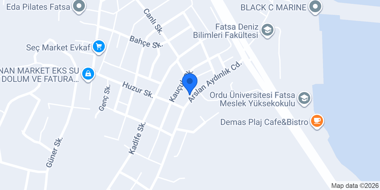Adıyörem çiğ köfte fatsa konumu