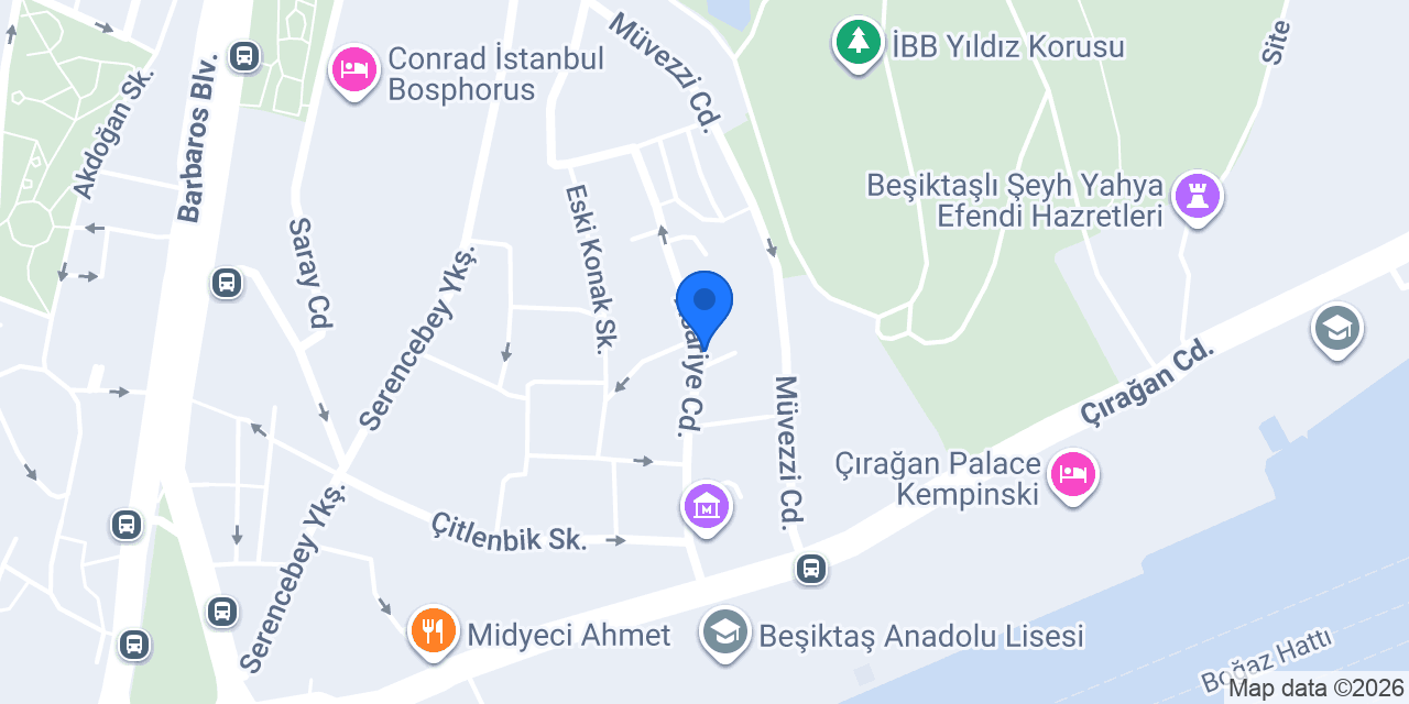 Alzheimer Vakfı konumu