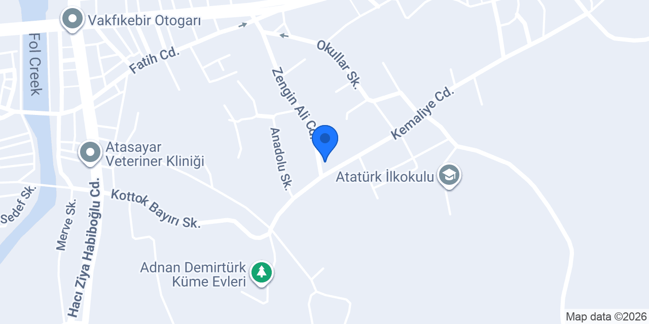 Anatom'y Studio konumu