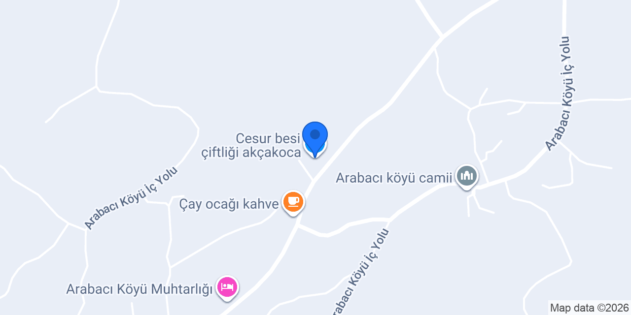 Cesur besi çiftliği akçakoca konumu