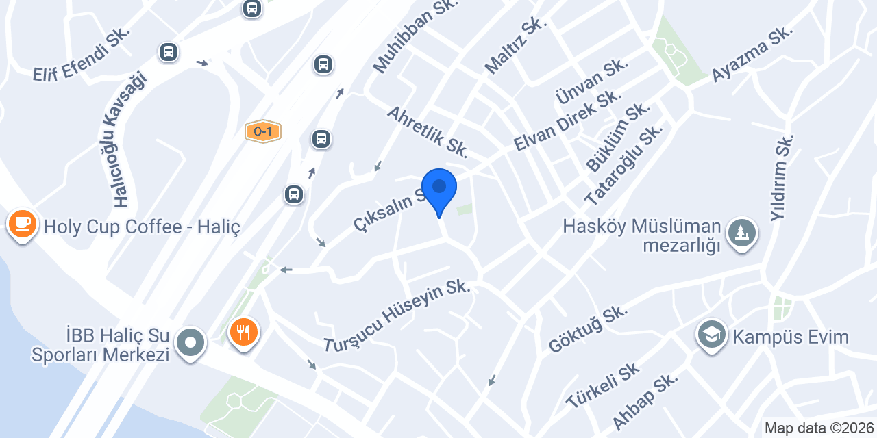 E-Vize Türkiye konumu