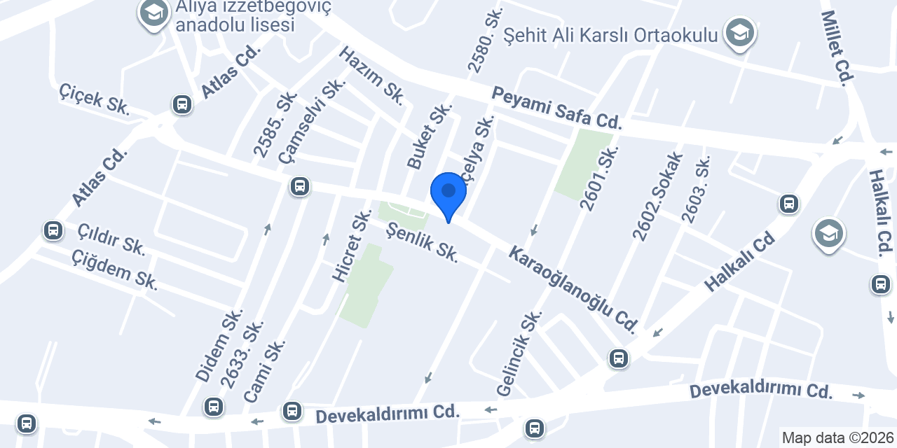 Asil Cam konumu