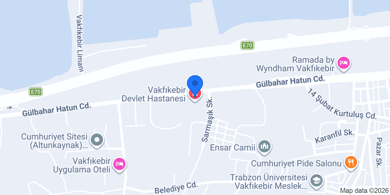 Vakfikebir Taksi konumu