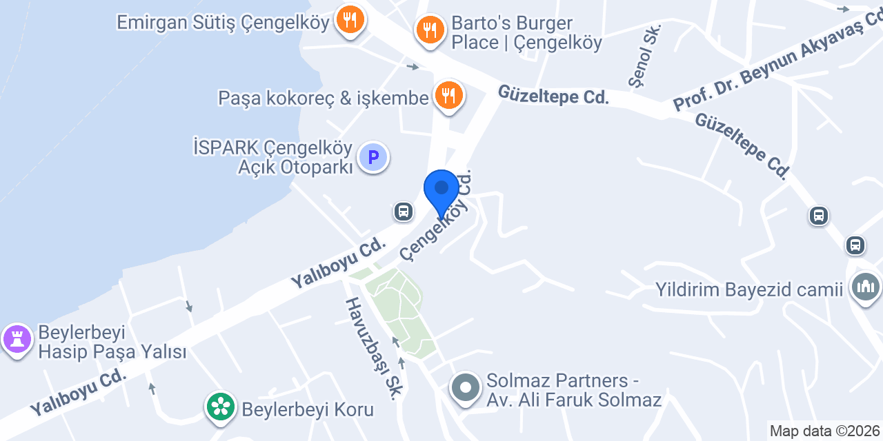 Ezel & Trafik otomotiv konumu