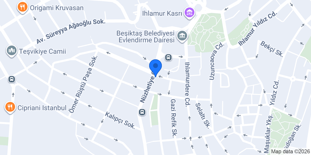IVF Turkey konumu