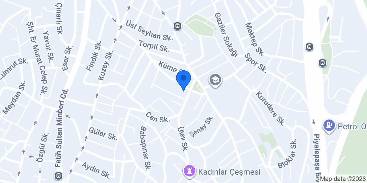 Paşa otomotiv konumu