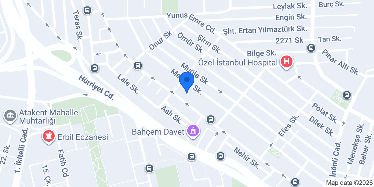 Yıldız Teknik konumu