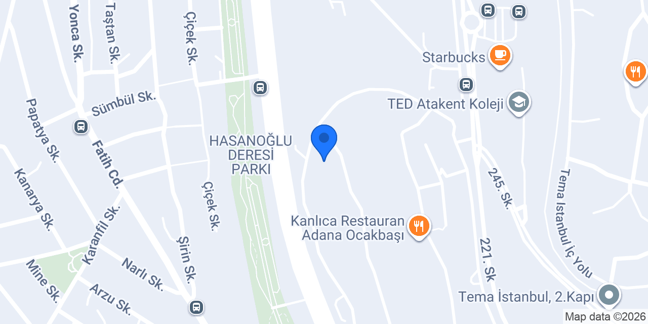 Creatıve chef konumu