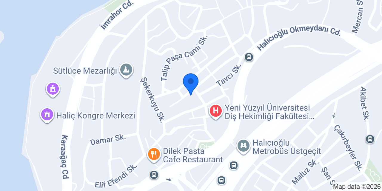 Asil Oto Özel Servis konumu