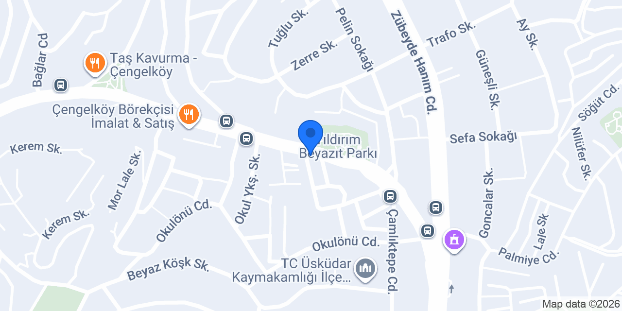 Ata Veteriner Kliniği konumu