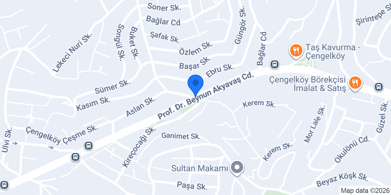 Nbt auto garage konumu