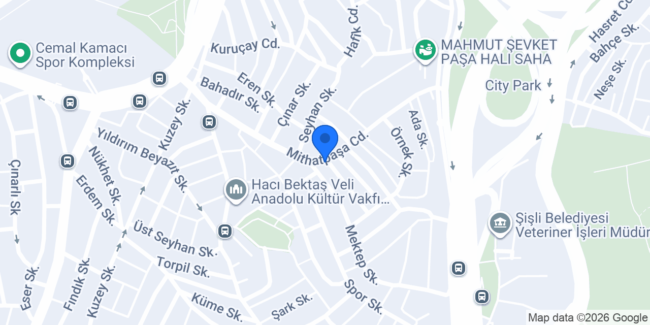 Kaplan Paslanmaz metal konumu