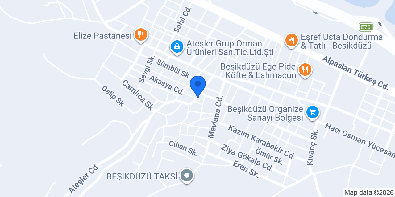 BİZZMAR konumu