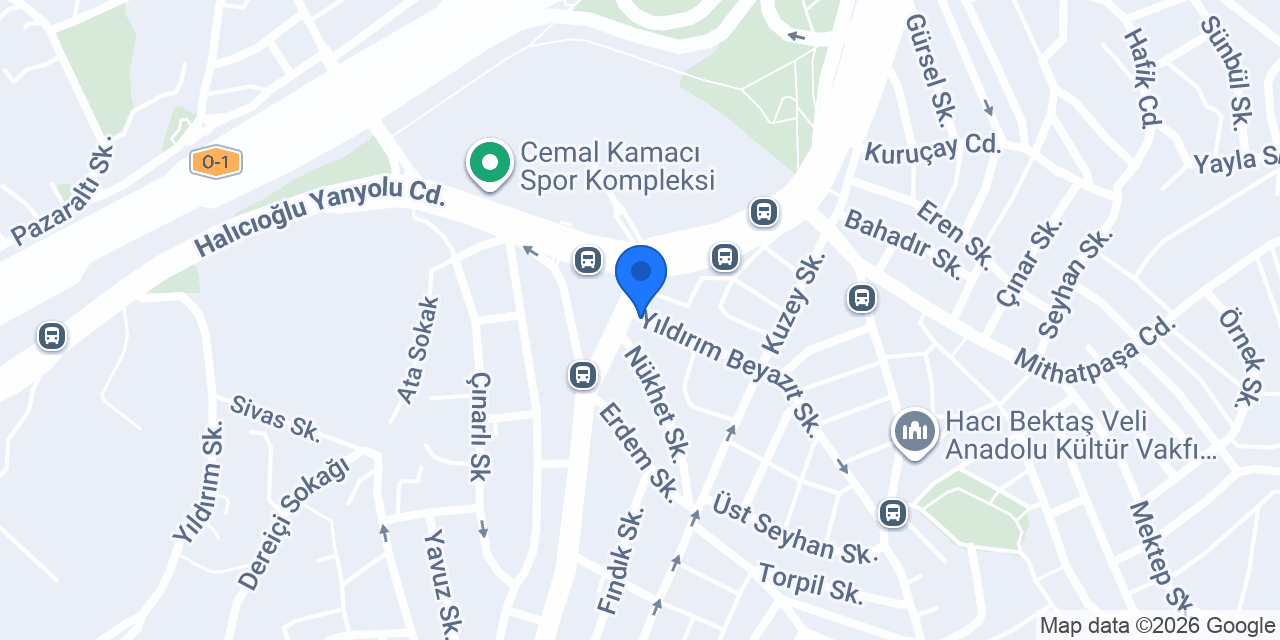 Lever Satınalma Sistemeleri konumu