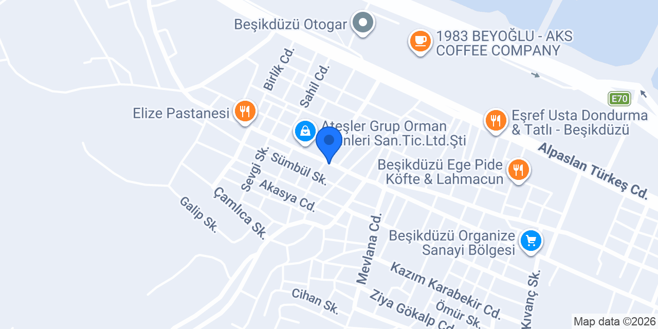 Özdemir Gıda konumu