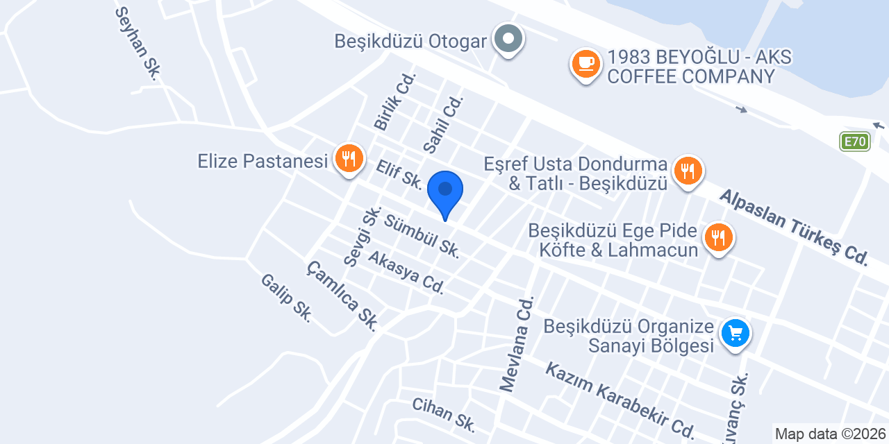 Taşdemir Pide Salonu konumu