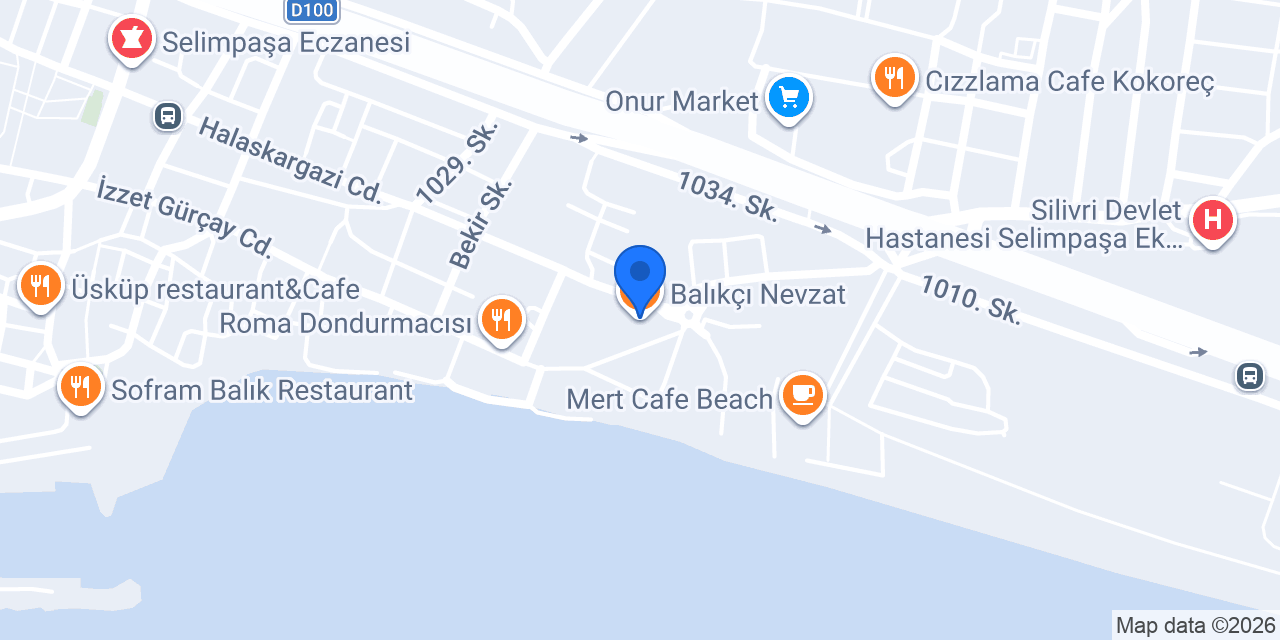 Balıkçı Nevzat konumu