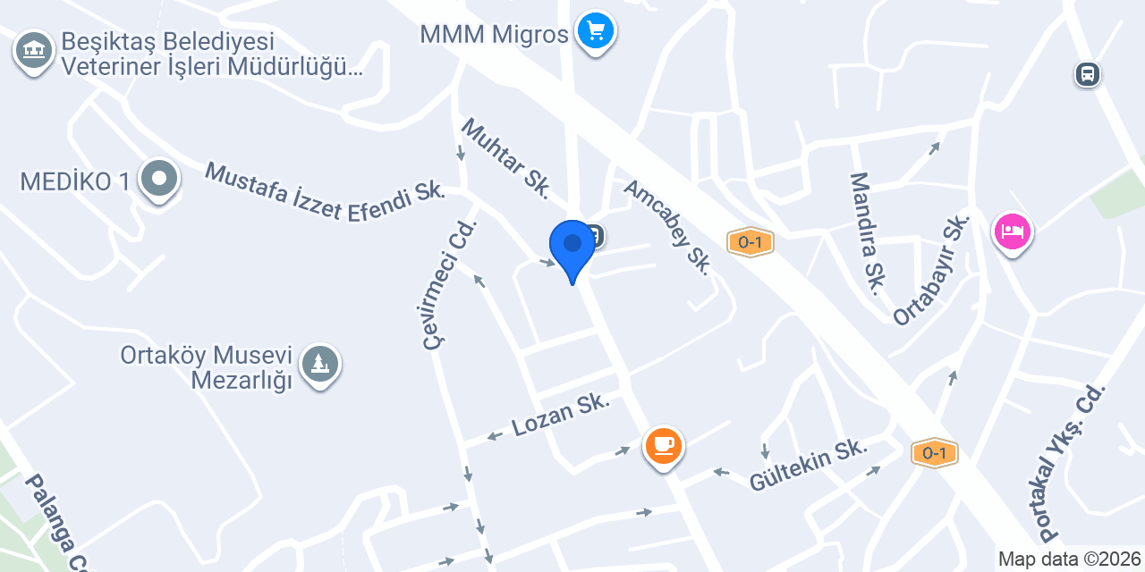 mezeden Gıda konumu