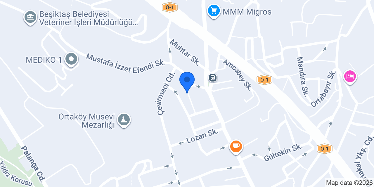 Politeknik konumu