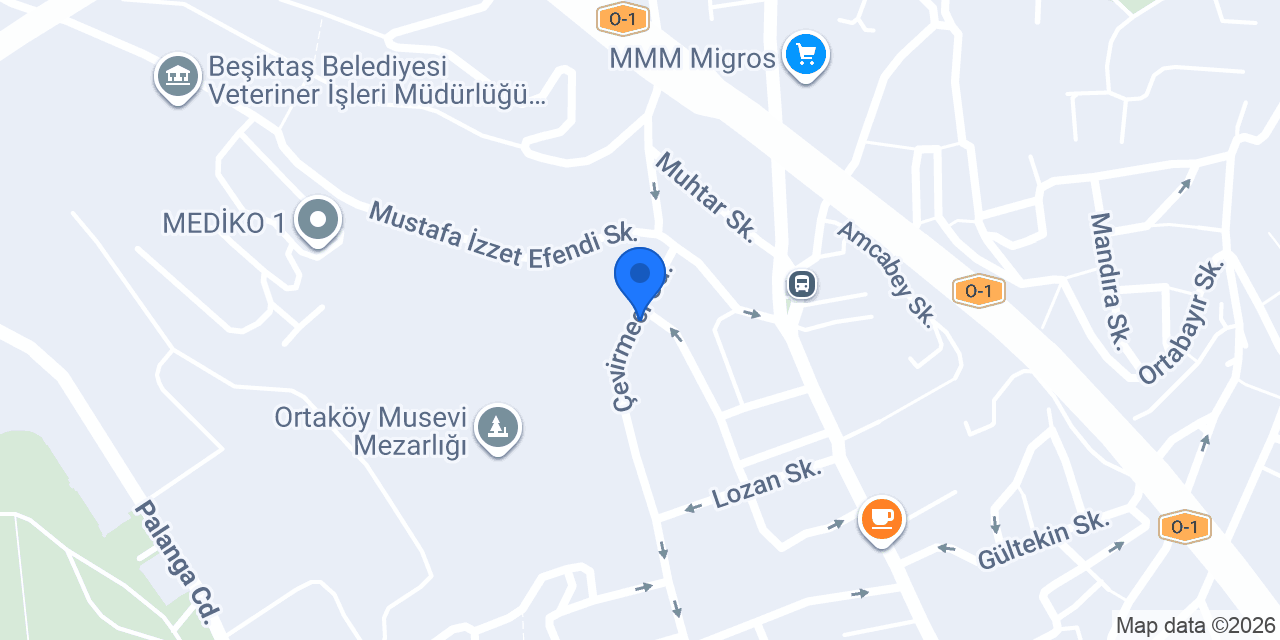 BOAZ MEKANİK SU TESİSAT konumu