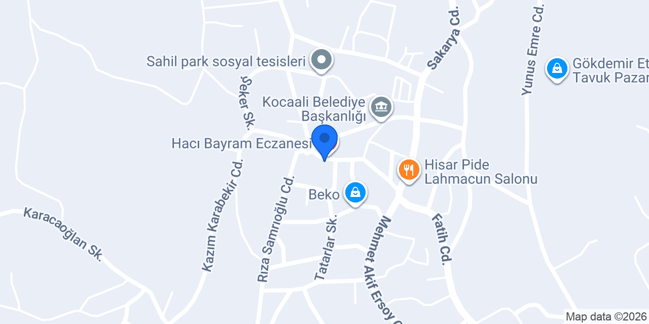Yıldız Teknik Servis Kocaali konumu