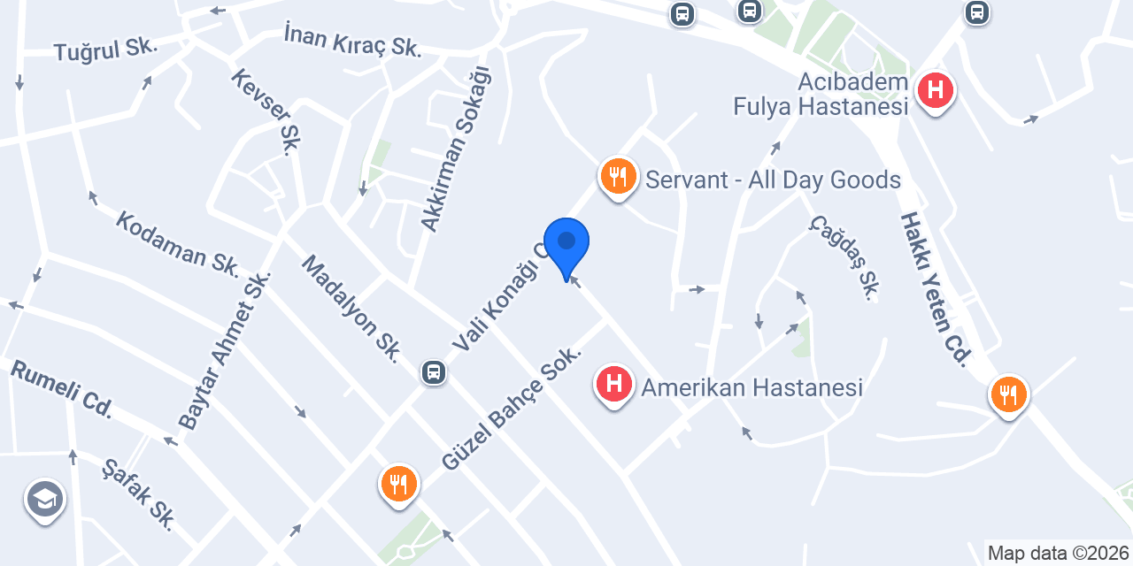BAYKUŞ DİL VE DANIŞMANLIK konumu